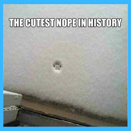 18 funny and relatable memes about winter to brighten up your day